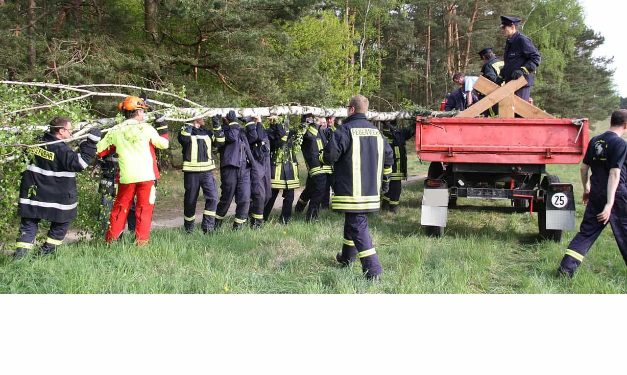 Feuerwehrleute tragen Baumstamm in den Wald.