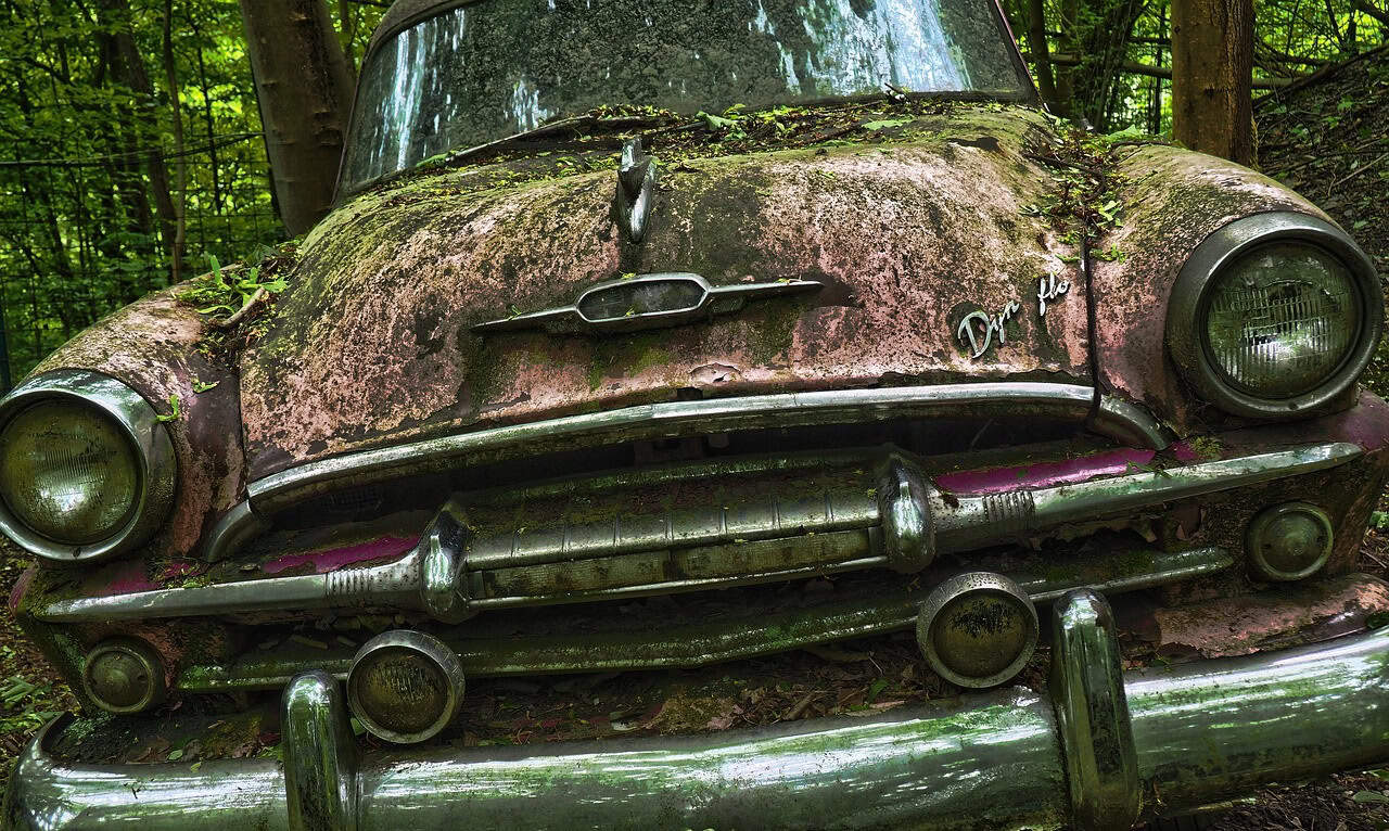 abgestelltes Auto im Wald, überwuchert mit Pflanzen.