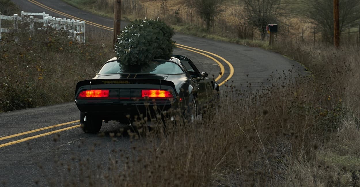 Transport eines Weihnachtsbaums